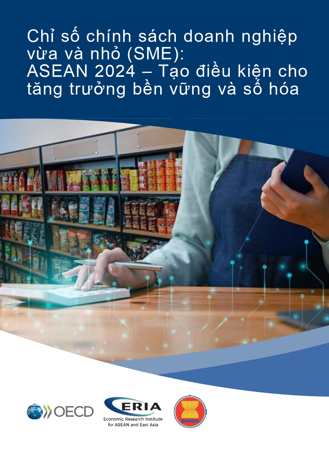 07. VIE Full-Report_ASEAN-SME-Policy-Index-2024_20-Sept-2024 (1)-1_page-0001