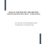 Assessment of the Implementation of the ASEAN–India Trade in Goods Agreement (AITIGA)