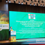 Campuchia triển khai chiến lược mở rộng thị trường và đa dạng hóa xuất khẩu gạo giai đoạn 2025–2030