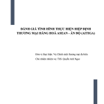 ĐÁNH GIÁ TÌNH HÌNH THỰC HIỆN HIỆP ĐỊNH THƯƠNG MẠI HÀNG HOÁ ASEAN - ẤN ĐỘ (AITIGA)