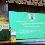 Cambodia launches 2025–2030 strategy to boost rice export diversification