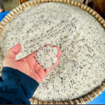 Philippines Officially Extends Rice Import Ban Until the End of 2025