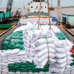 Rice exports set record in just 10 months of 2023