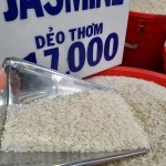 How will export rice prices develop in the coming months?