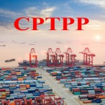 Conference on taking advantages of CPTPP commitments organized in Da Nang