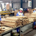 Vietnam to grant FLEGT licence to wood exports in 2025
