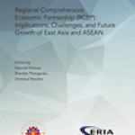 RCEP: Hàm ý, thách thức và tăng trưởng trong tương lai của Đông Á và ASEAN