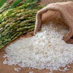 Giới thiệu sách mới “Thị trường gạo Bắc Âu”