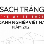 The White Book on Vietnamese Businesses 2021