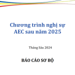 Chương trình nghị sự Cộng đồng Kinh tế ASEAN (AEC) sau năm 2025