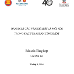 ĐÁNH GIÁ CÁC VẤN ĐỀ MỚI VÀ MỚI NỔI TRONG CÁC FTA ASEAN CỘNG MỘT