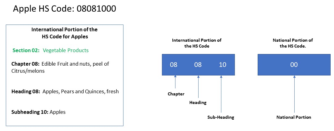 Vietnam HS Code - Tìm hiểu chi tiết về mã HS Việt Nam