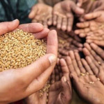 Malaysia–Singapore Cooperation Potential on Food Security within the Johor-Singapore Special Economic Zone (JS-SEZ)