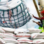 Philippines Applies Temporary Rice Import Ban